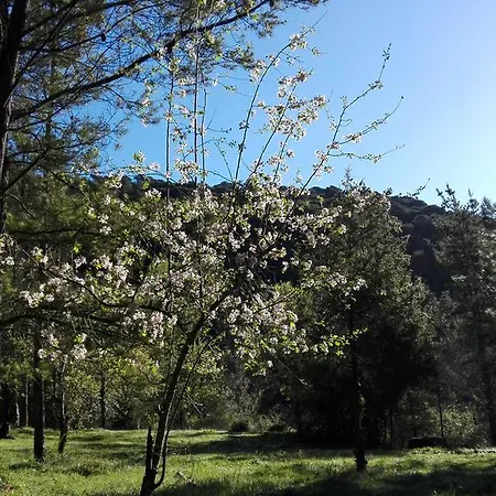 아파트 Mas Campolier 산트페리올