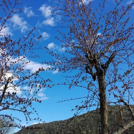 Mas Campolier 아파트 산트페리올