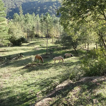 Mas Campolier 아파트 산트페리올