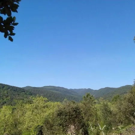 Mas Campolier 산트페리올