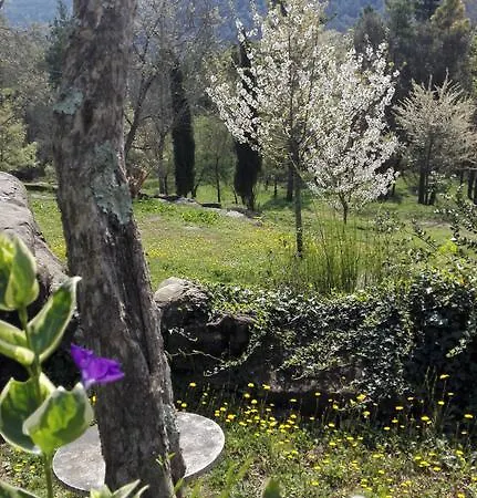 Apartman Mas Campolier Sant Ferriol