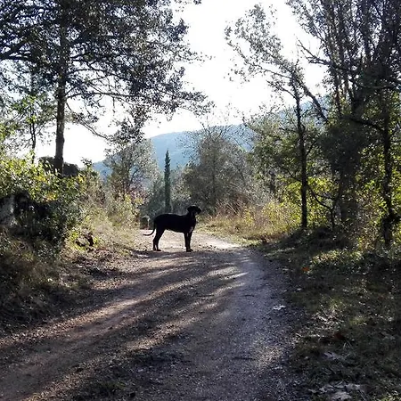 Mas Campolier Sant Ferriol