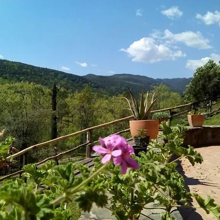 Mas Campolier Apartman